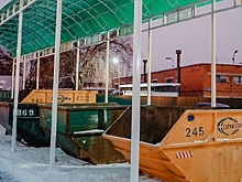 Жители Подмосковья сдали за месяц более 64 тысяч елок на переработку