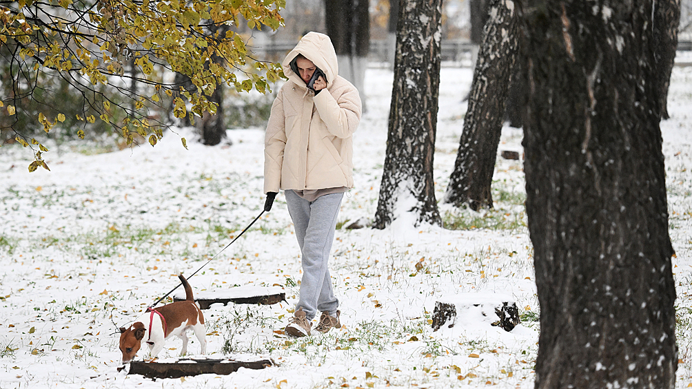 Девушка выгуливает собаку в заснеженном сквере в Москве