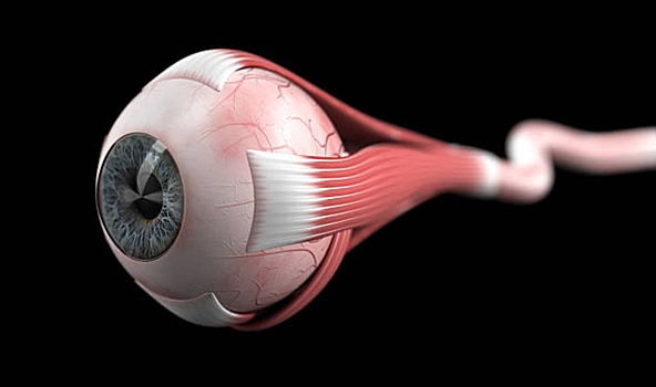 Нанороботов впервые ввели в человеческий глаз