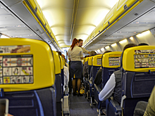 Самолет экстренно сел из-за присланной пассажирам картинки