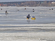 Очистку озера Шарташ в Екатеринбурге отложили еще на год