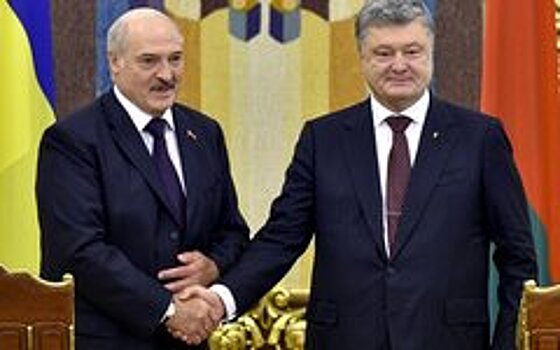 Полуголая девушка пыталась сорвать переговоры Порошенко и Лукашенко