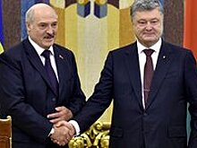 Полуголая девушка пыталась сорвать переговоры Порошенко и Лукашенко