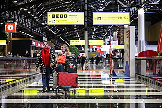 Грузчик московского аэропорта украл из чемоданов пассажиров 21 миллион рублей