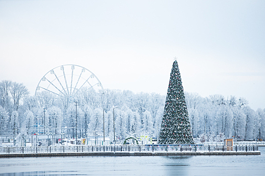 "Дары волхвов" и "Снегурочка": какие десять книг почитать на новогодних праздниках