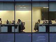 Роструд запустил сервис для отслеживания и оплаты штрафов