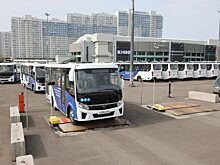 Министр транспорта Красноярского края рассказал о местах дислокации новых автобусов для региона