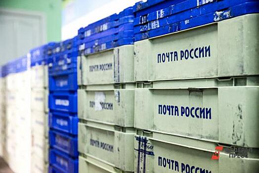 На «Почте России» в Барнауле избавились от опасной для людей мухи
