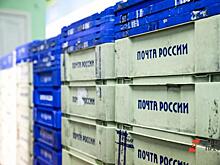 На «Почте России» в Барнауле избавились от опасной для людей мухи