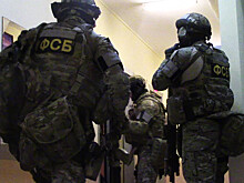 В Москве сотрудники ФСБ, СК и центра "Э" провели обыск в офисе "Партии националистов"