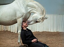 Звенигородцы увидят уникальный перформанс "Лошадь в музее!"