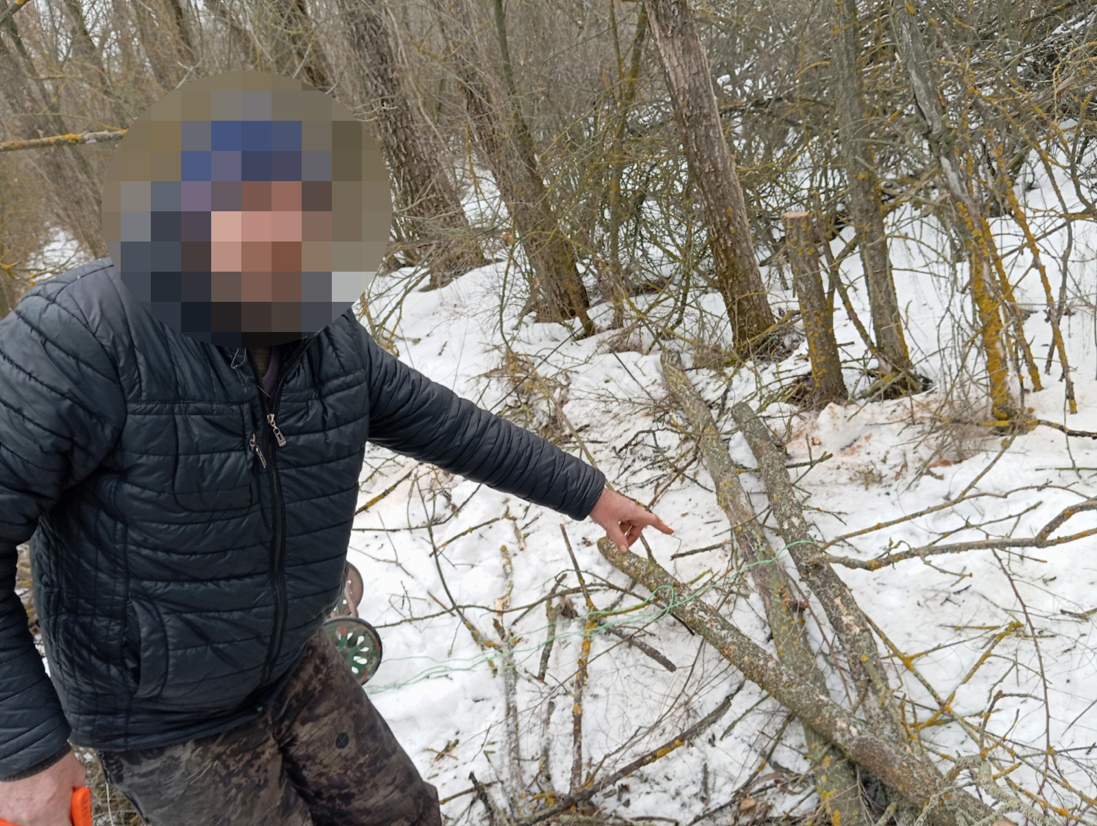 В Ростовской области задержали мужчину, который рубил вяз