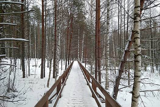 В мордовских заповедниках пройдут дни открытых дверей