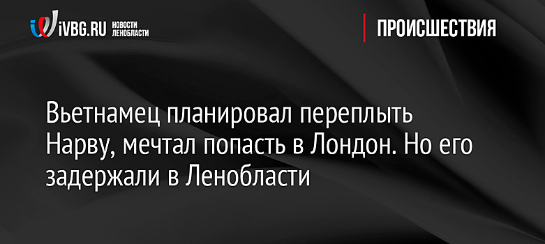 Вьетнамец планировал переплыть Нарву, мечтал попасть в Лондон. Но его задержали в Ленобласти