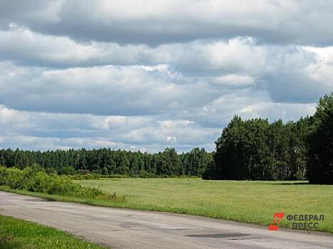 Чиновники омской мэрии отдавали за бесценок в аренду земли многодетных семей