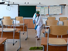 В Ленобласти школьники из-за роста заболеваемости гриппа и ОРВИ раньше уйдут на каникулы