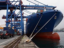 Перевозчиков продовольствия освободили от весогабаритного контроля