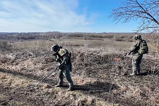 В Курском сельском хозяйстве подсчитали потери в результате вторжения ВСУ