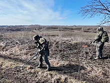В Курском сельском хозяйстве подсчитали потери в результате вторжения ВСУ