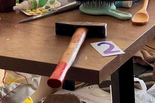 В Якутске арестованы две 16-летние девушки по делу об убийстве женщины и ребенка