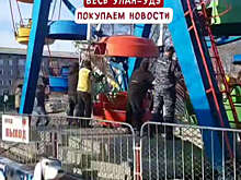 В Улан-Удэ крыса залезла в распределитель и оставила без света школы и больницу