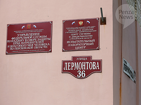 В управление Роспотребнадзора по Пензенской области в 2024 году поступило около 4,5 тыс. обращений граждан