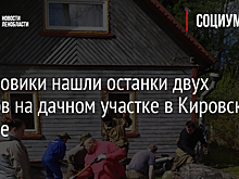 Поисковики нашли останки двух бойцов на дачном участке в Кировском районе
