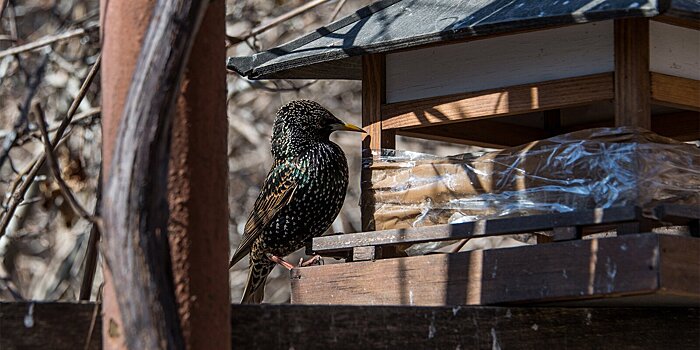 Мероприятия для детей и взрослых пройдут в столичных парках