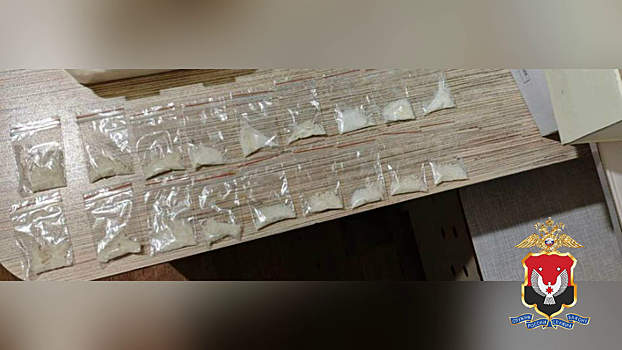 Более килограмма мефедрона и клефедрона изъяла полиция Удмуртии у межрегионального наркокурьера