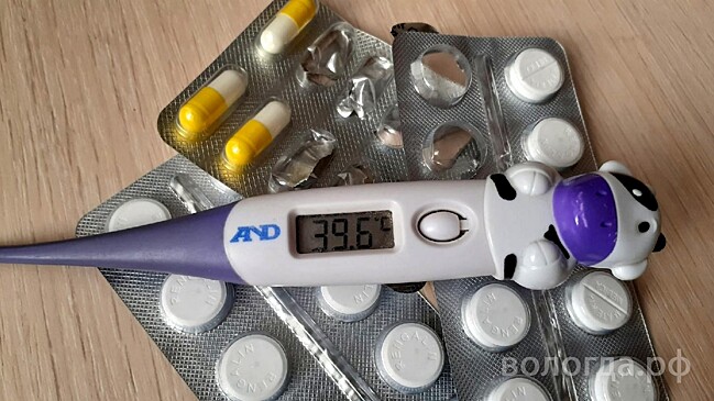 Более 5000 случаев ОРВИ и гриппа зарегистрировали в Вологде на прошлой неделе