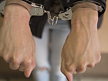Угонщик из Канады спрятался от полиции в сене