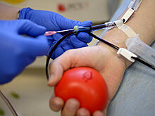 Советы "Склифосовского": как быть правильным донором