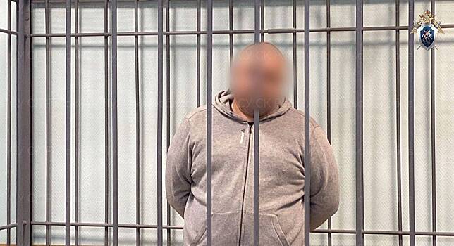 Стрелявший в директора российского колледжа бизнесмен арестован