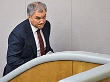 В Госдуме предложили обязать российских депутатов уведомлять о выезде за границу