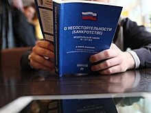 "Работы предстоит много: нас ждет вал банкротств"