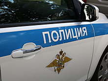 В Подмосковье осудили двух приезжих за убийство пенсионерки