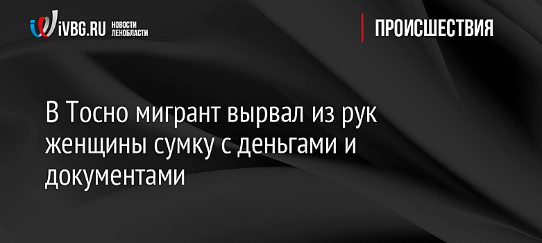 В Тосно мигрант вырвал из рук женщины сумку с деньгами и документами