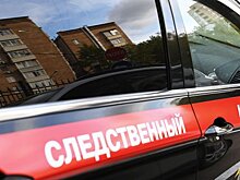 Следователи московского СК продолжают поиски пропавшей фигуристки и допрашивают родственников и тренеров