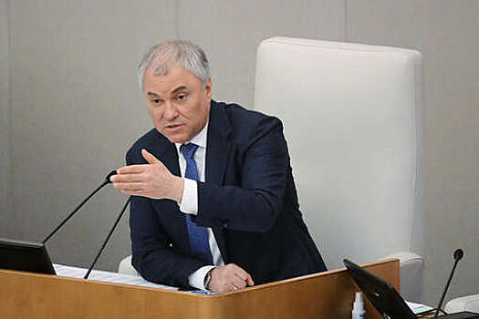 Спикер ГД: россияне смогут получать данные о выполнении всех запросов на услуги