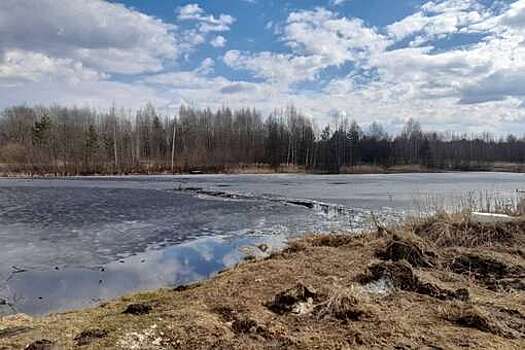 В Тверской области трое подростков провалились под лед, один из них погиб