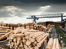 В Красноярском крае досрочно реализован крупный инвестпроект