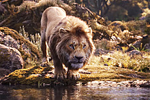 Нового «Короля льва» раскритиковали за обилие темнокожих актеров