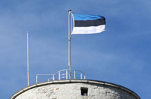 Центристская партия Эстонии обещает гражданство всем владельцам «серых паспортов»