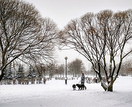 Фото: снежные выходные в Петербурге