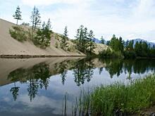 Оффшорная компания будет добывать золото и серебро в Забайкалье