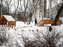 В подмосковном Чеховском парке начали разворовывать стройматериалы