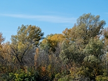 Природный парк в Волгоградской области обрел свою охранную зону