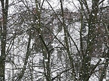 МЧС предупредило жителей Петербурга о снегопаде и сильном ветре 11 января
