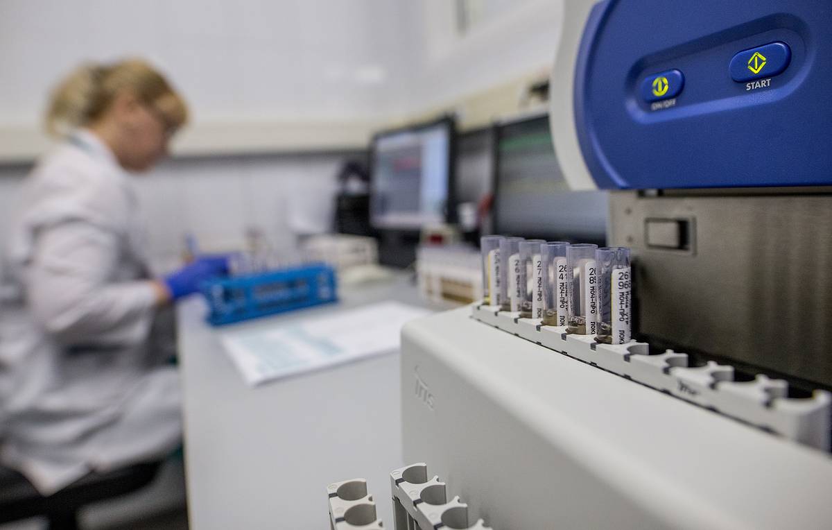 В Китае у летучих мышей обнаружили новый коронавирус