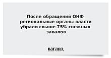 После обращений ОНФ региональные органы власти убрали свыше 75% снежных завалов